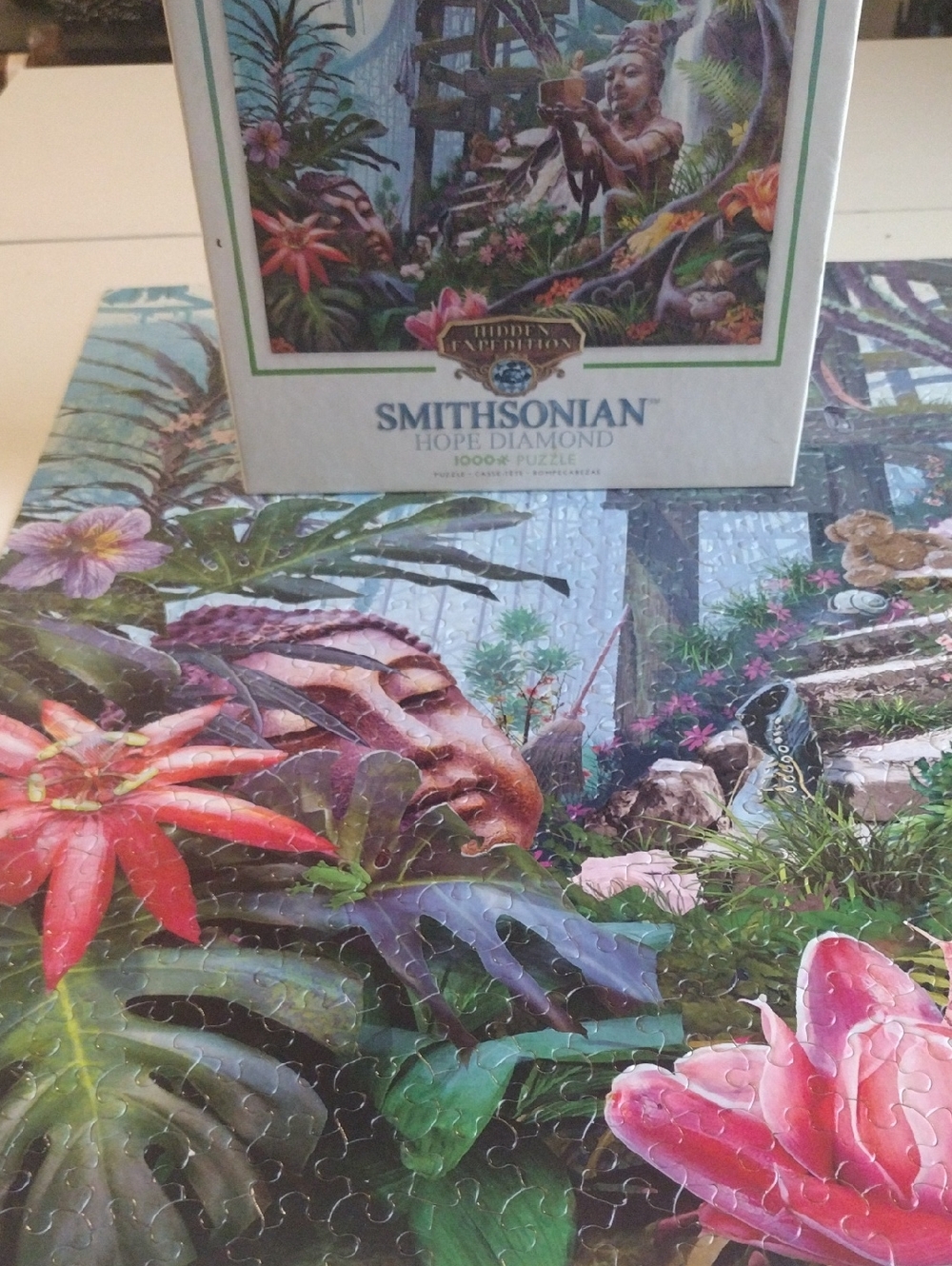Smithsonian Puzzle - Picture 7 of 7